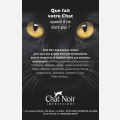 Chat Noir Impressions