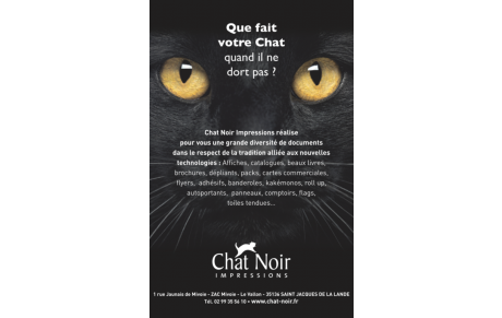 Chat Noir Impressions